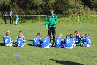 九游官网入口注册-意甲教练团队基于自然语言语调分类器指导战术表达调整,自然语言语义识别