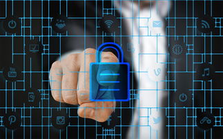 九游娱乐入口-赛事风险管理体系，体育赛事风险管理的主要内容