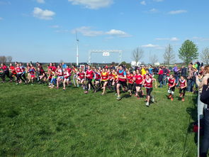 九游娱乐下载-青少年体育活动参与动力分析，青少年的体育活动