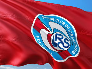 九游官网入口下载-荷兰队在欧洲预赛中继续保持领先优势